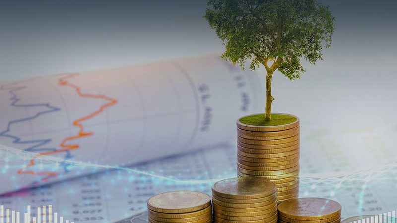 薪酬绩效体系搭建：中小企业如何实现高效激励**